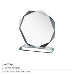 Crystal Awards - Image 6