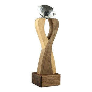 Wooden Crystal Trophy - Image 6