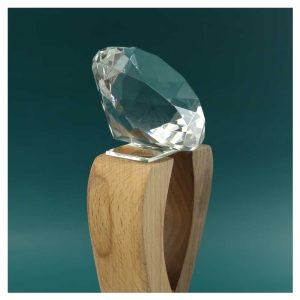 Wooden Crystal Trophy - Image 4