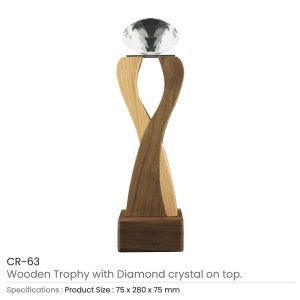 Wooden Crystal Trophy - Image 3