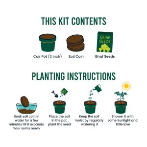 Plantable Kit with GHAF Seeds in Kraft Box - Image 4